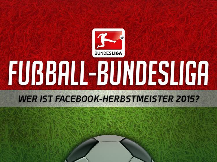 Grafik Fußball Bundesliga 2015