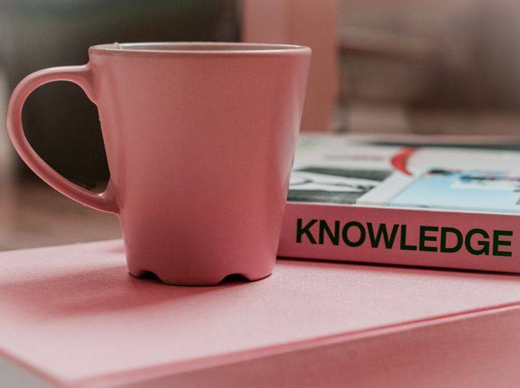Rosa Kaffeetasse dahinter ein Buch mit dem Text „Knowledge“